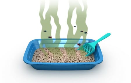 a bad litter box spells trouble bio one columbus cleanup services