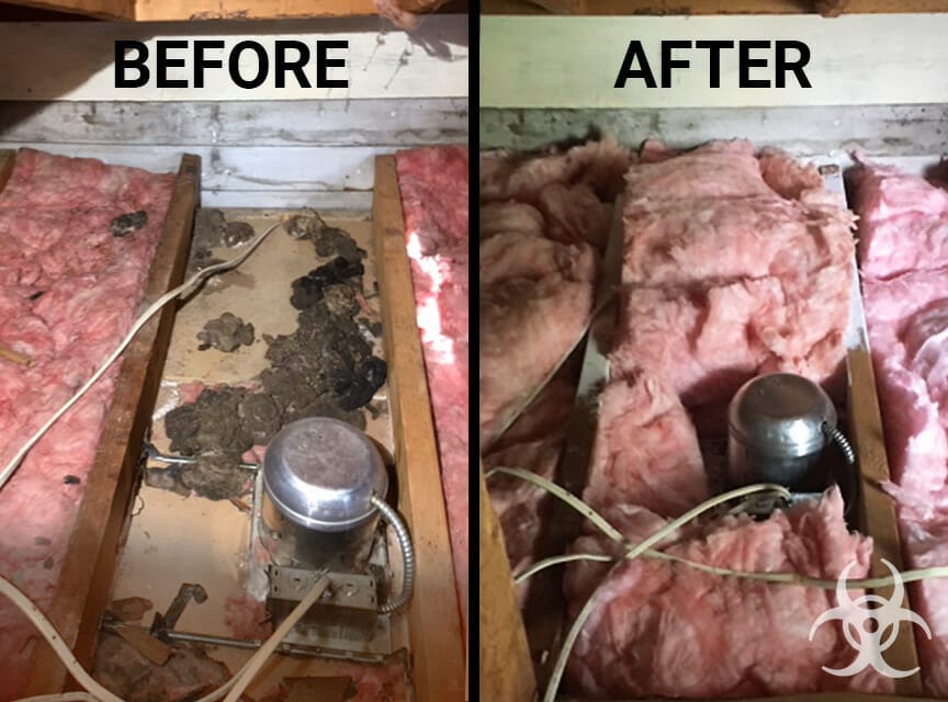 bio one experts are careful to properly dispose of medical waste before and after